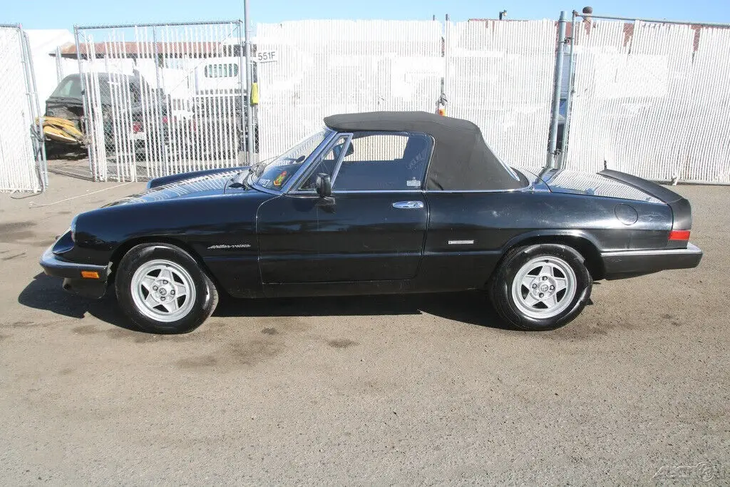 (omr) 1986 alfa romeo spider veloce 4 cylinder 2.0l manual no reserve