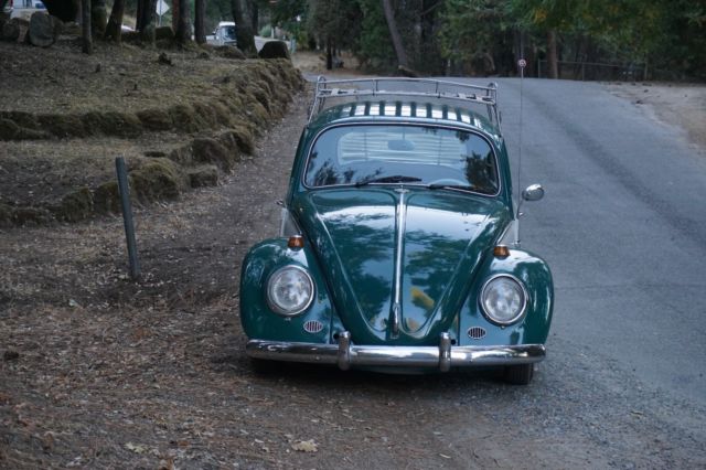 1965 vw beetle bug classic california low miles car 11500.00 obo