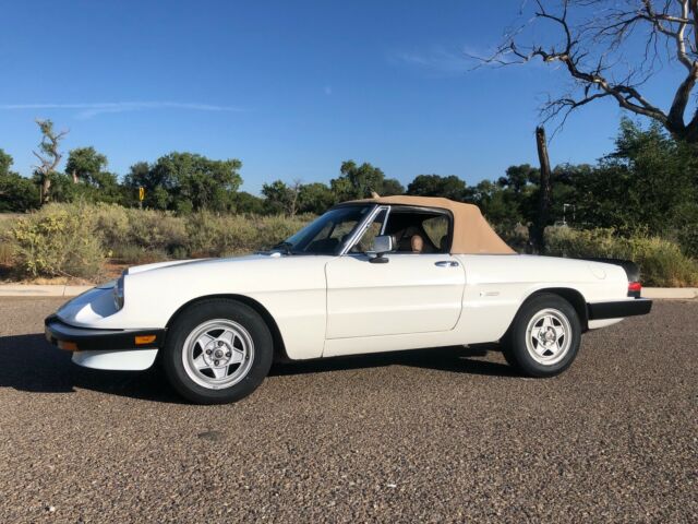 no reserve - 1986 alfa romeo spider veloce