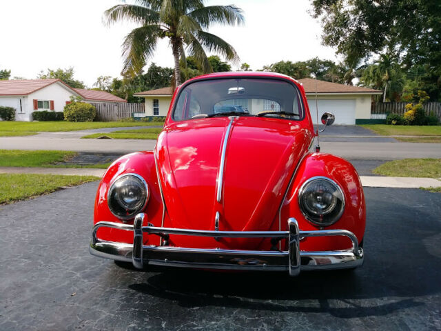 1966 volkswagen beetle - classic vw bug