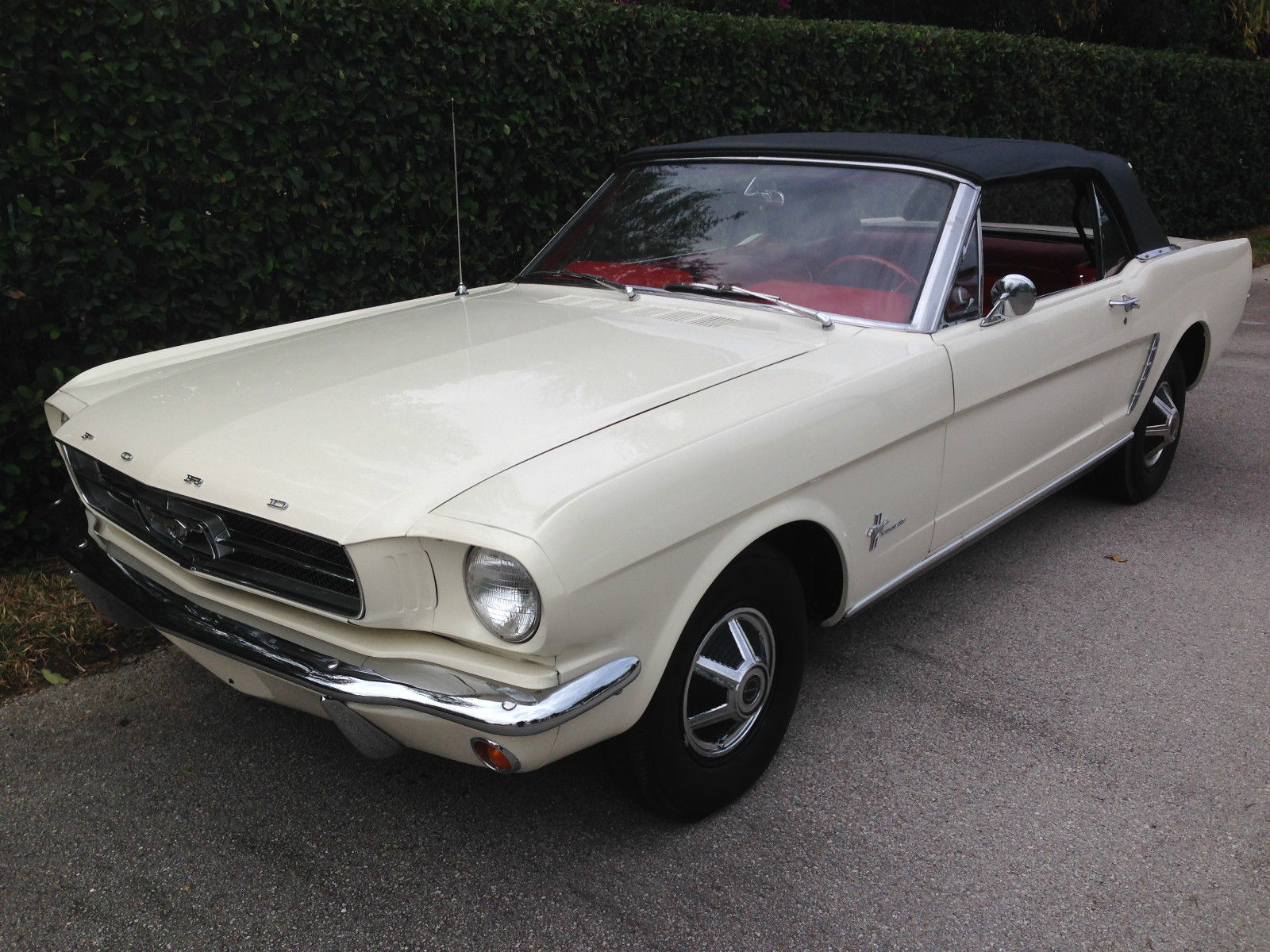 1965 mustang convertible