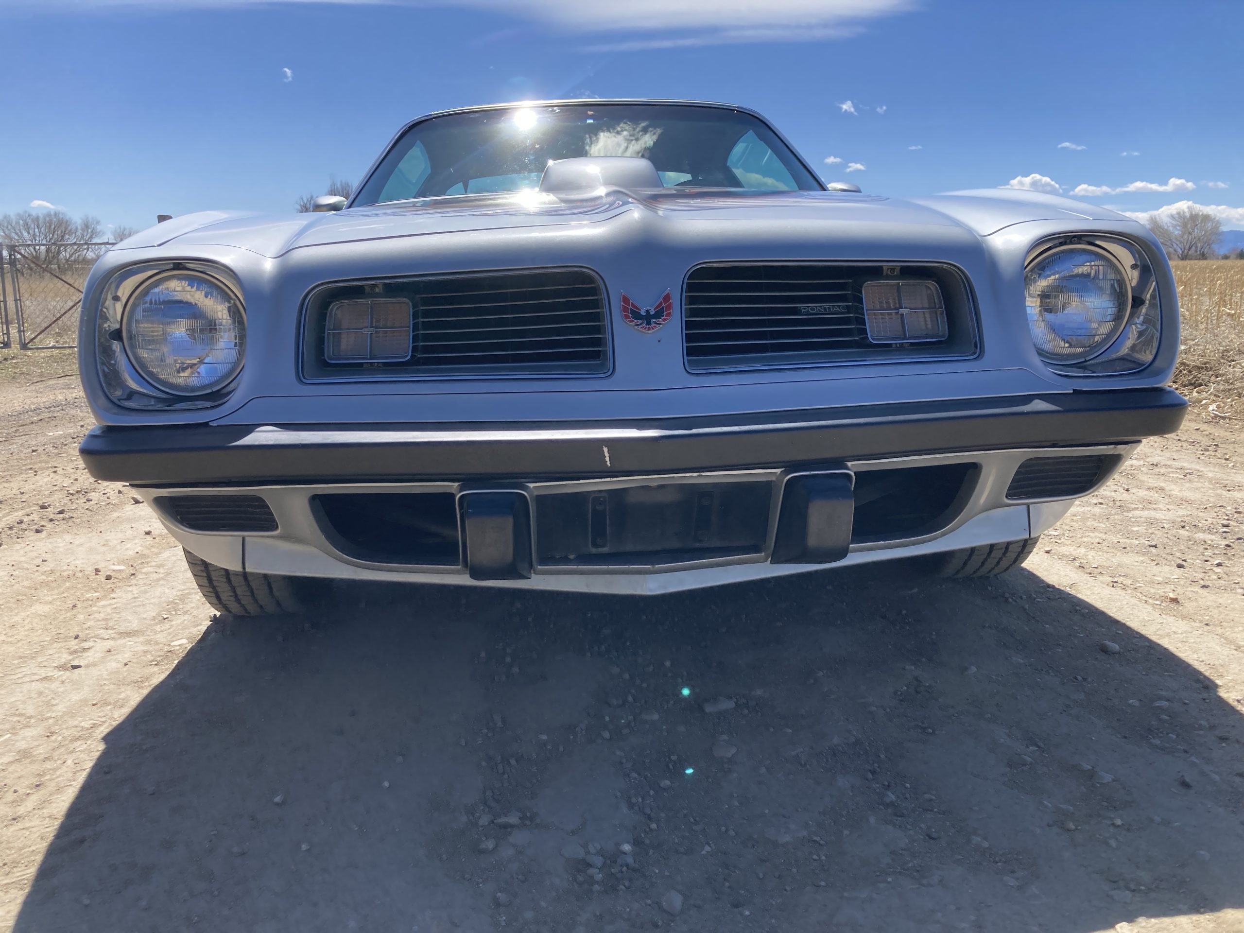1975 pontiac firebird trans am