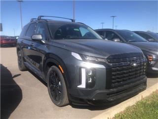 2025 Hyundai Palisade xrt