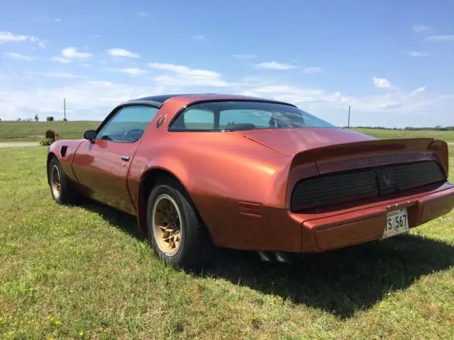 1980 pontiac trans am 4.9l turbo