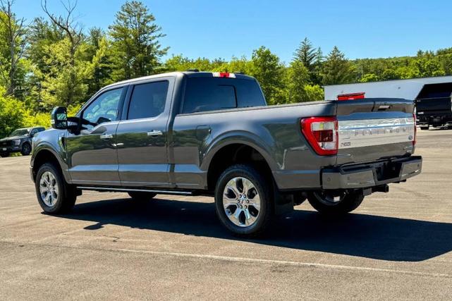 2022 ford f-150 platinum