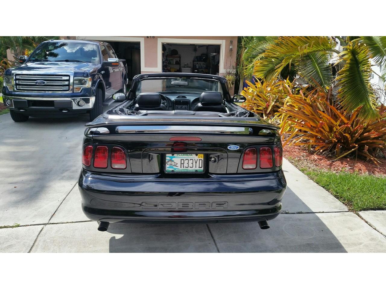 1996 ford cobra