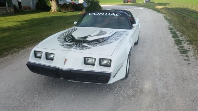 1981 pontiac trans am turbo daytona pace car recaro edition-no reserve!!