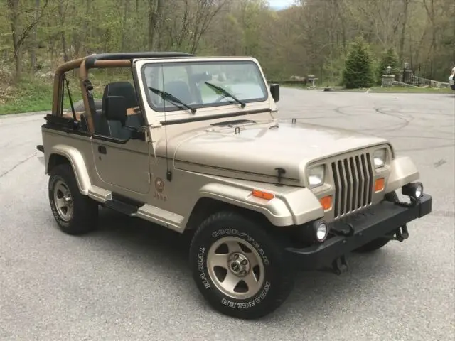 1993 jeep wrangler sahara - 5 spd, a/c, all original 66,000 miles, new top