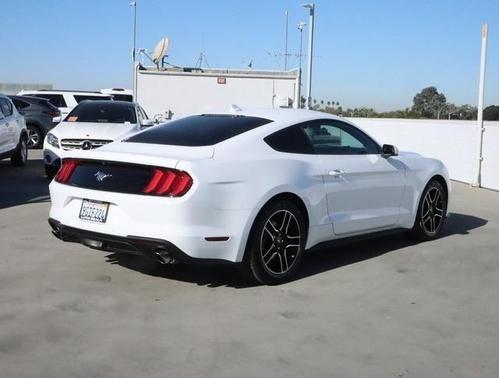 2023 ford mustang