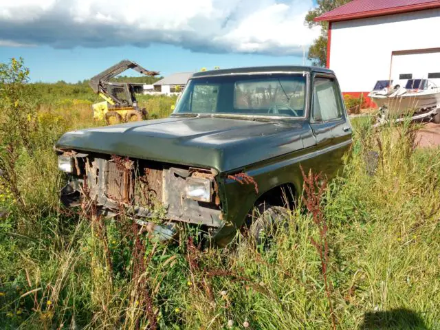1979 f-150 truck project - new paint job