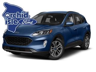 2022 Ford Escape sel