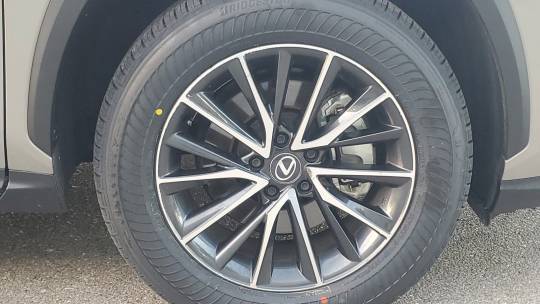 2024 Lexus NX