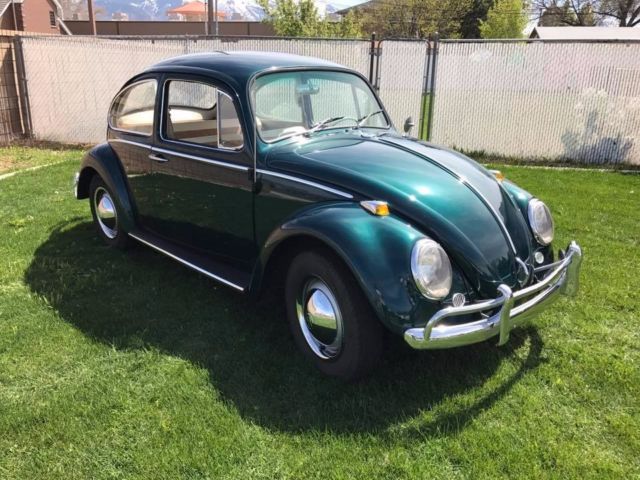1965 volkswagen beetle vw bug one owner