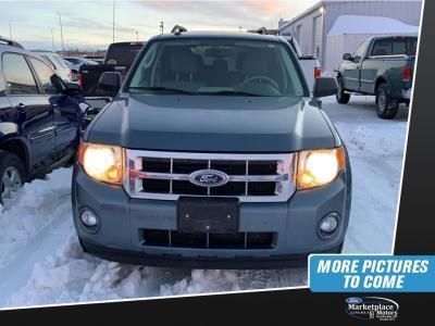 2010 ford escape xlt awd xlt 4dr suv for sale in devils lake, north dakota