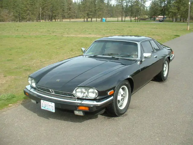 1983 jaguar xjs v12 coupe h.e. low miles! black beauty! drives great! nice!