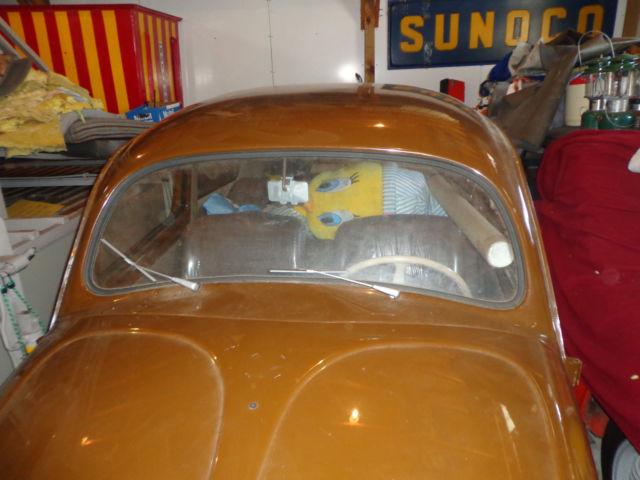 volkswagen bettle