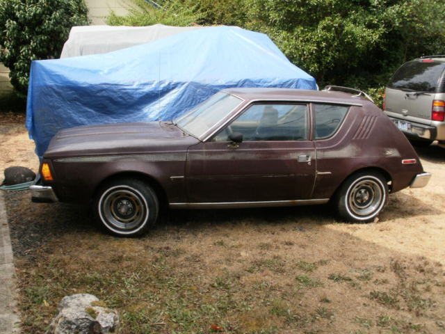 amc gremlin x