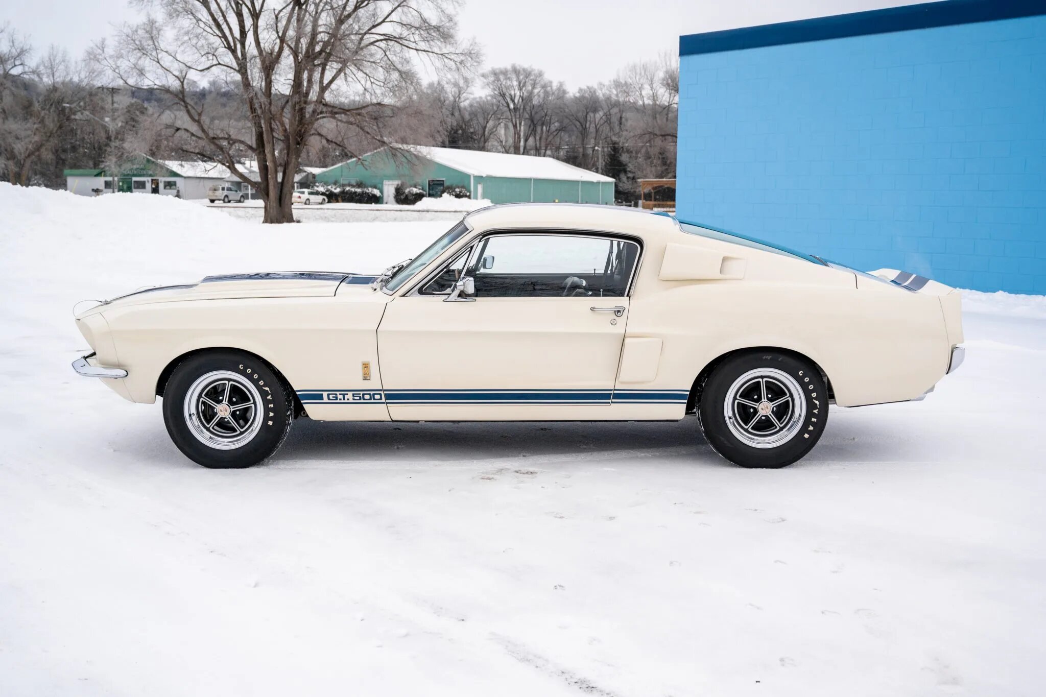 shelby mustang gt500