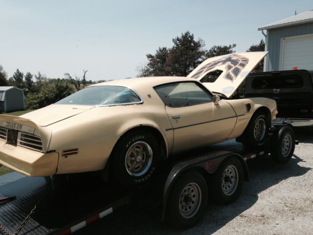 1977 pontiac trans am shaker yellow