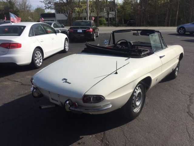 1967 alfa romeo duetto spider - barn find - no reserve!