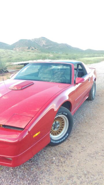 rare #40 of 500 choo-choo customs made car