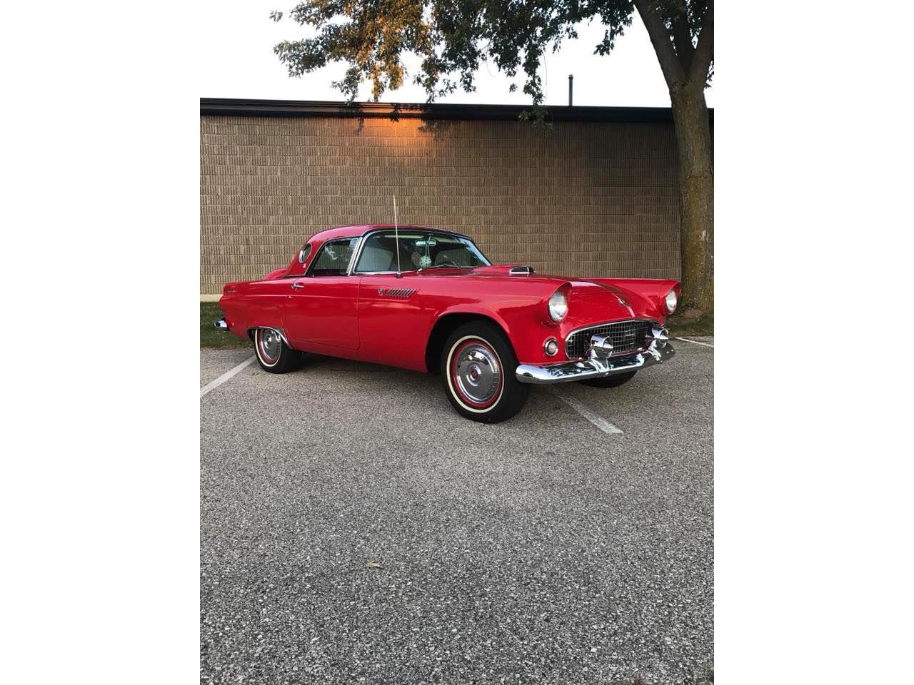 1955 ford thunderbird