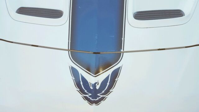 1994 pontiac firebird sportscar white rwd automatic 25th anniversary