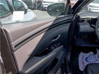 2024 Hyundai Tucson sel convenience