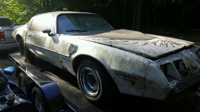 1980 trans am project new york