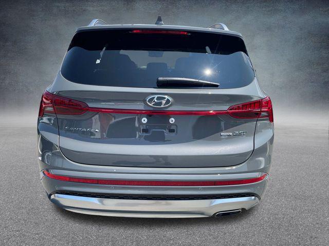 2023 hyundai santa fe calligraphy