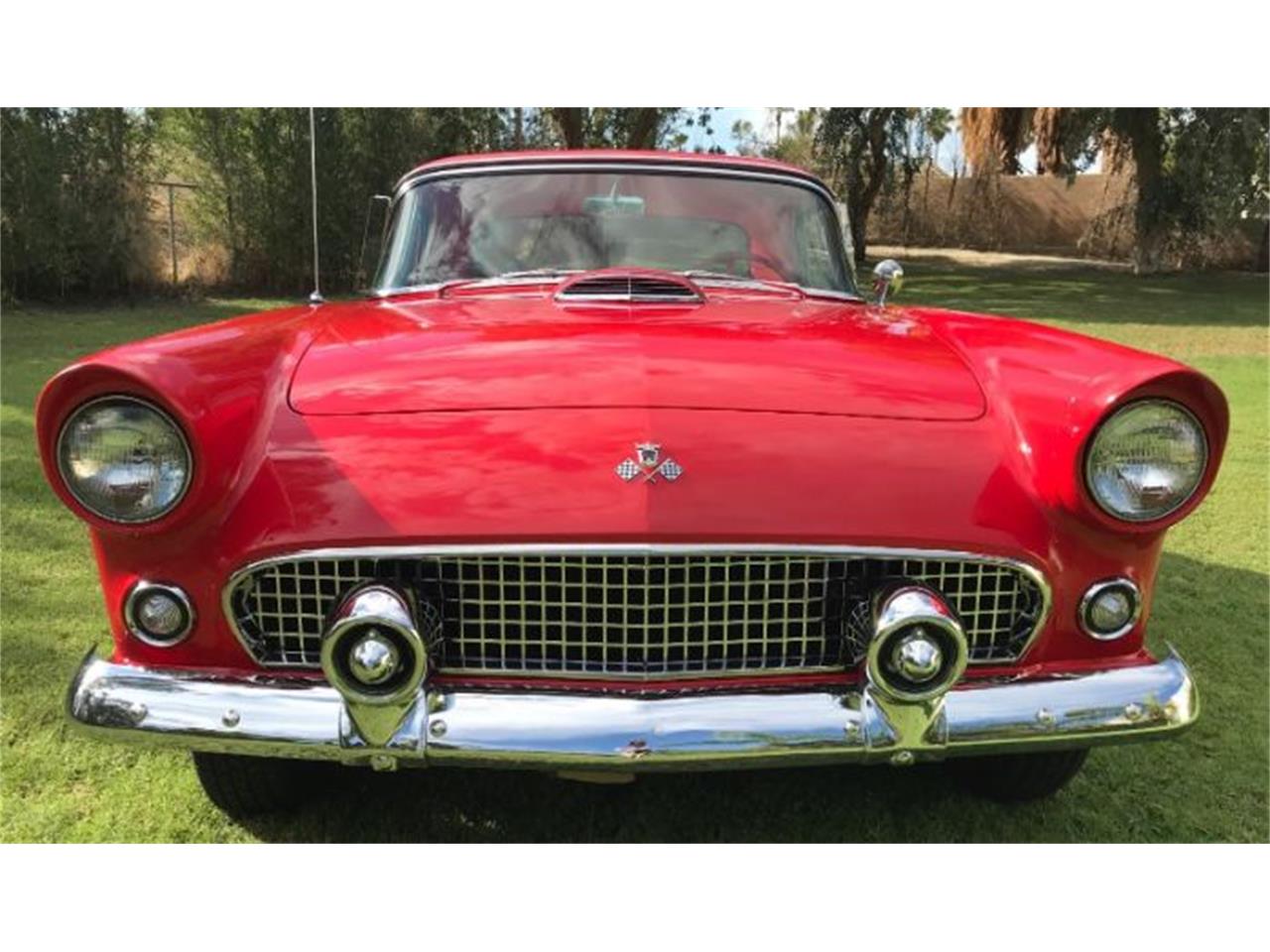 1955 ford thunderbird