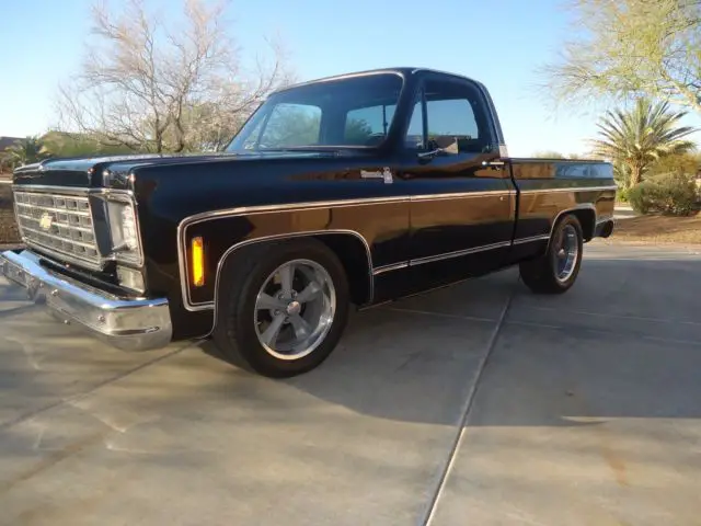 1976 chevrolet sliverado c10 short bed, street rod, hot rod, gasser, pro street