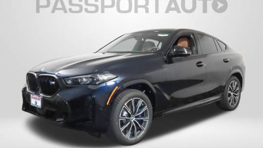 2025 BMW X6