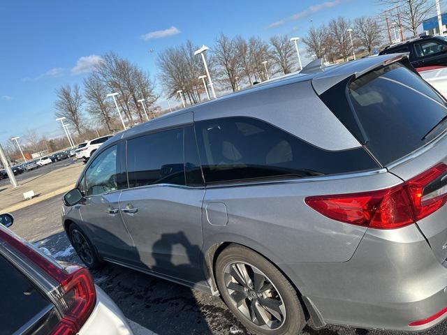 2024 honda odyssey elite