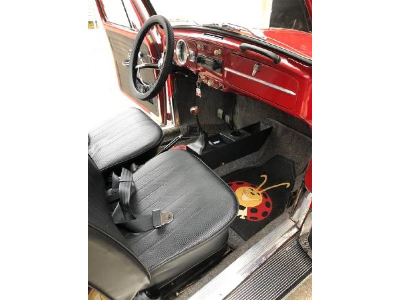 1966 volkswagen beetle