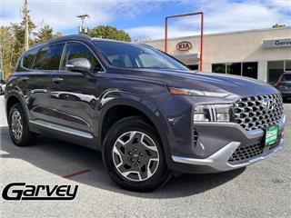 2022 Hyundai Santa Fe blue