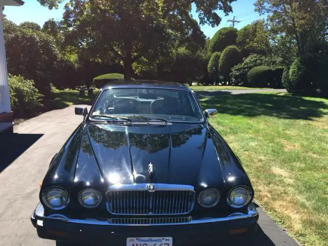 vanden plas model