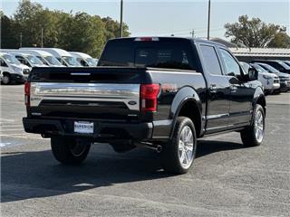 2020 Ford F-150 platinum