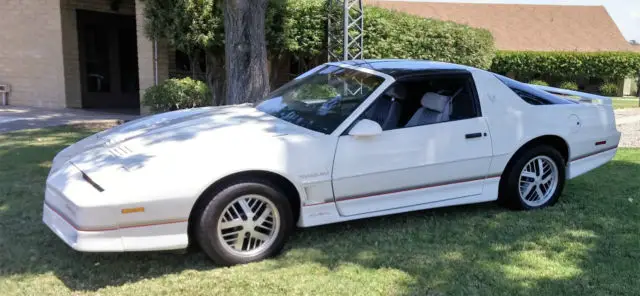 1985 pontiac firebird trans am ws6 survivor