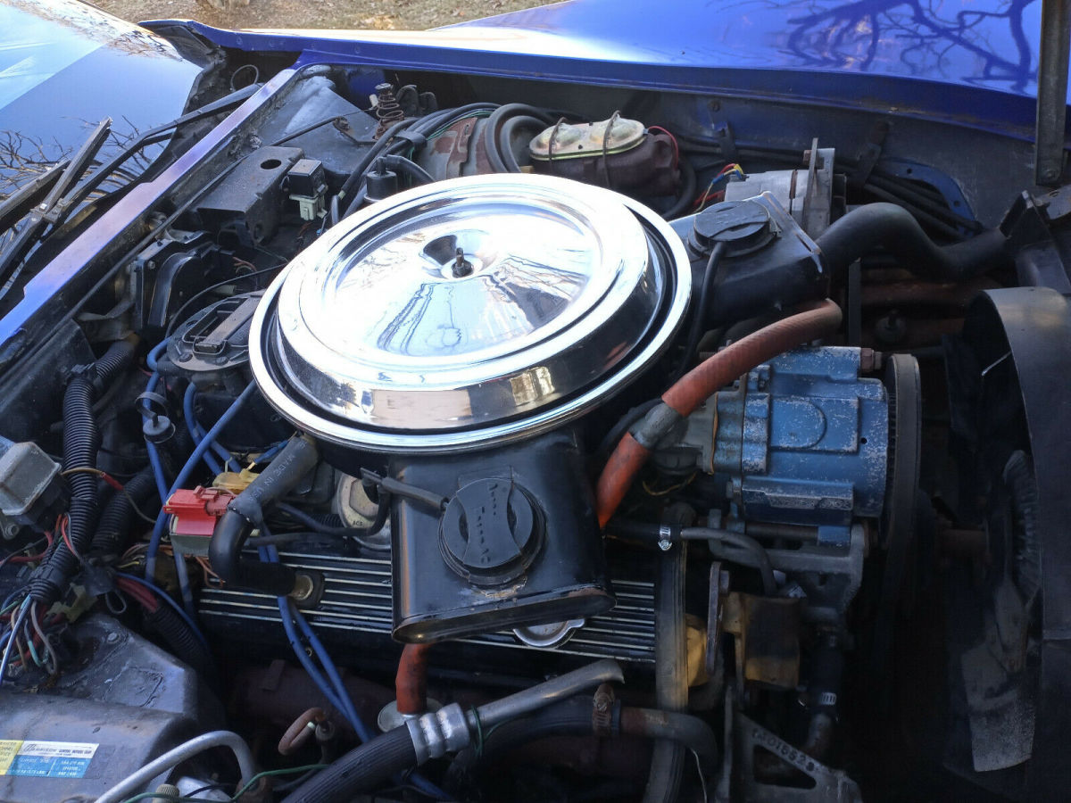 1981 chevrolet corvette coupe barn find since 1999!! two tone blue and black