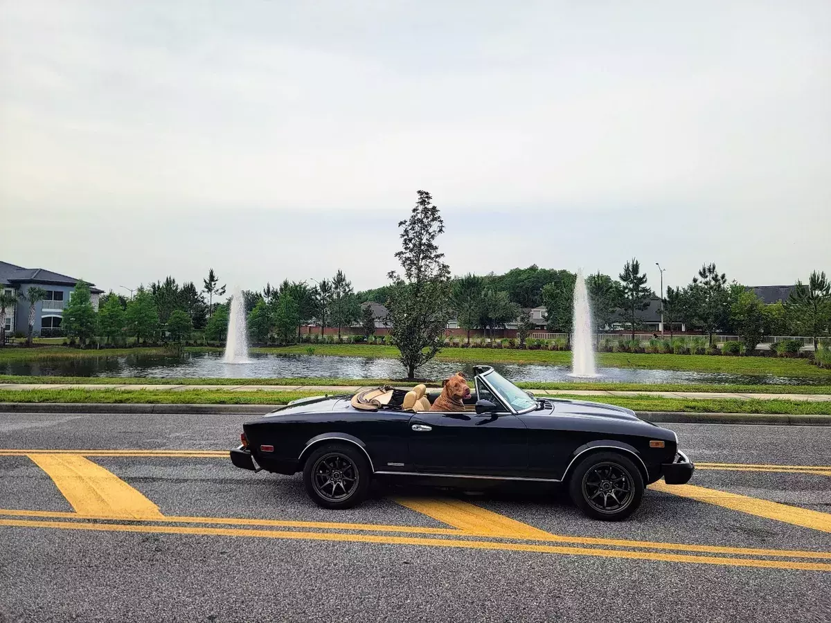 1982 fiat 124 convertible black spider