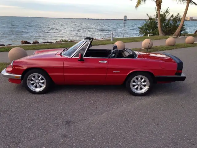 alfa romeo spider graduate