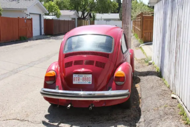 cute 1974 volkswagon beetle