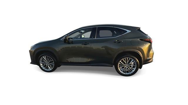 2022 lexus nx 350 luxury