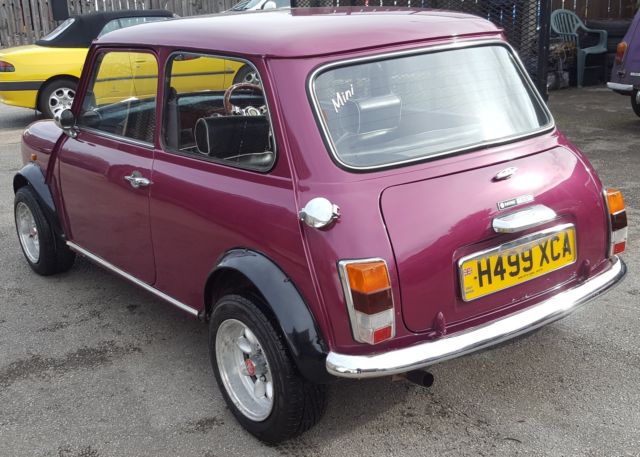 awesome 1990 rover mini