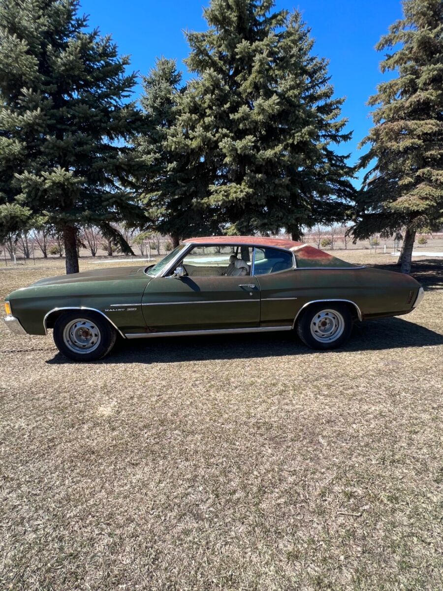 1972 chevelle 1966 1967 1968 1969 1970 1971 rat rod malibu ss 350 396 427 454