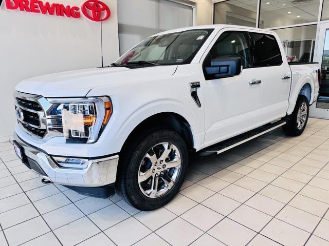 2023 ford f-150 xlt