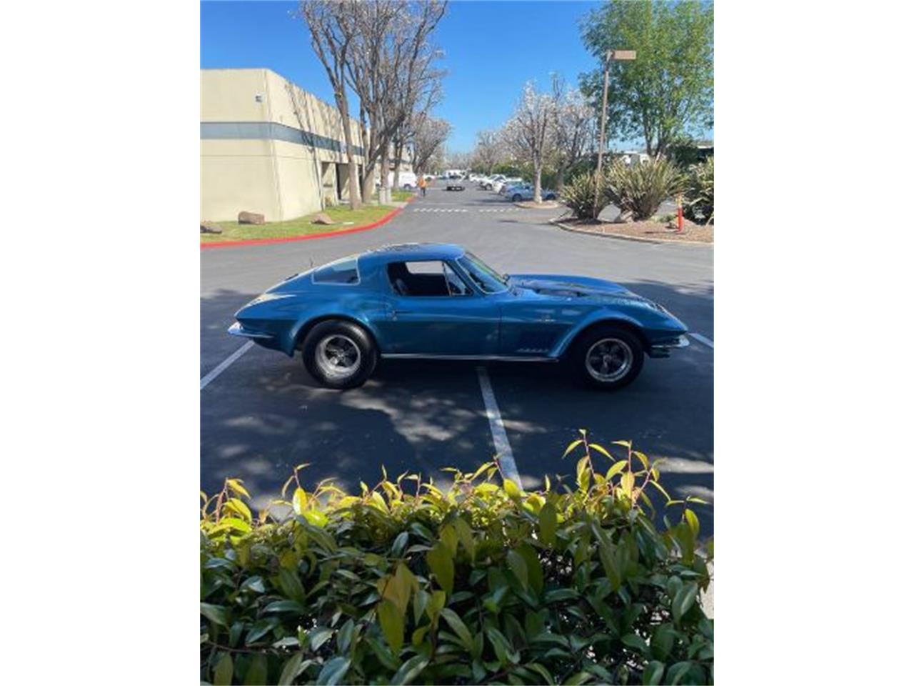 1966 chevrolet corvette