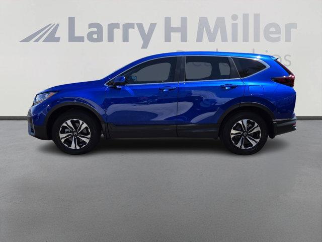 2022 honda cr-v special edition