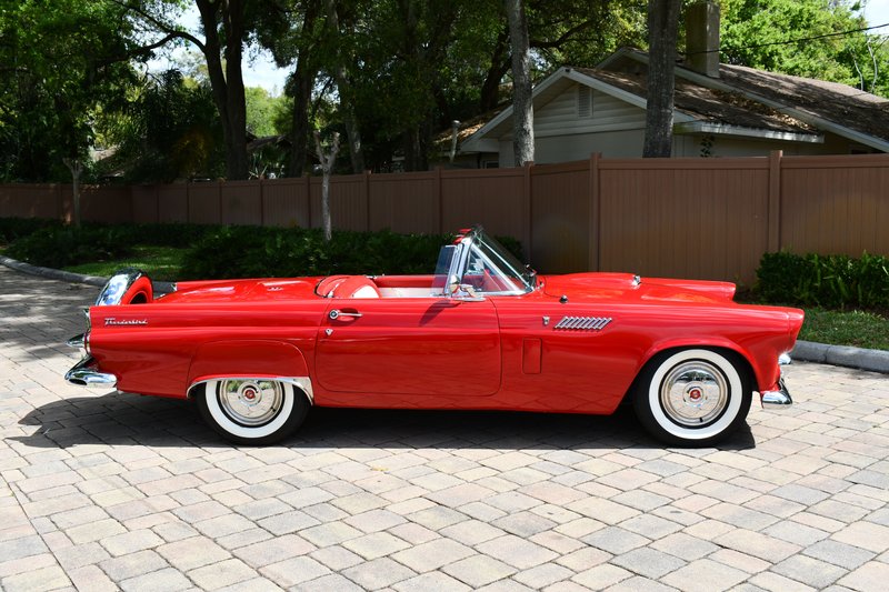 1956 ford thunderbird